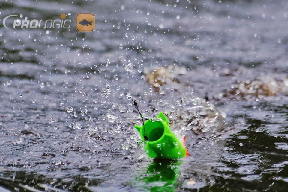 PROLOGIC - 199125307476069848101120095554n.jpg